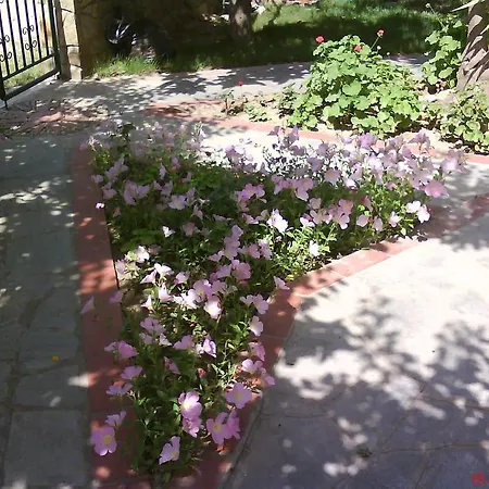 Natalia's Apartament