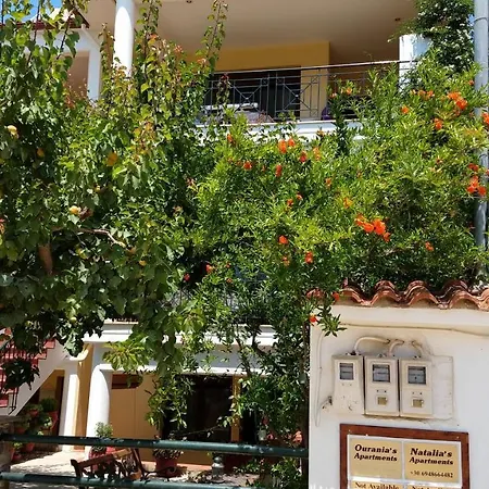Natalia's *