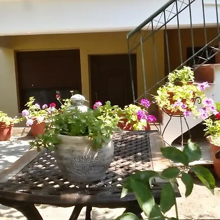 Apartment Natalia's Nikiti (Sithonia)