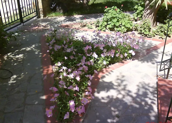 Natalia's Apartamento